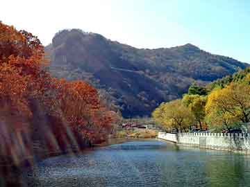 新澳天天开奖资料大全旅游团，电子书免费看